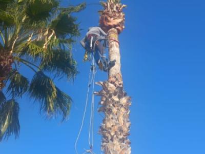 Zuverlässig Gärtner