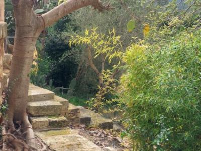 Zweite Wohnung auf Finca bei Manacor