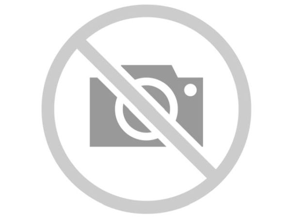 Goldfische zu verschenken